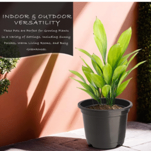 Kuber Industries (Pack of 3) Flower Pot | Fuldani Flower Pot | (8 Inch) Pots for Home, Terrace, Garden | Plants Stand | Phooldaan for Home Décor | Indoor Plant Stand | Green-Blue & Black