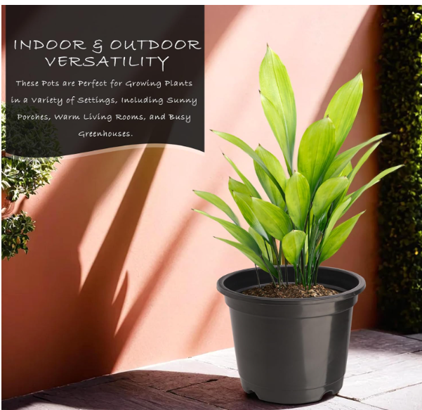 Kuber Industries (Pack of 3) Flower Pot | Fuldani Flower Pot | (8 Inch) Pots for Home, Terrace, Garden | Plants Stand | Phooldaan for Home Décor | Indoor Plant Stand | Green-Blue & Black